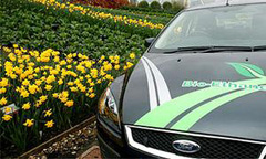 �&nbsp;��������� �������� ��������� Sexy Green Car Show